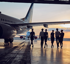 Airline Support