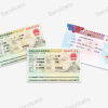 (L) Tourism Chinese Visa (Adult)  / 10-Year valid visa - Image 2