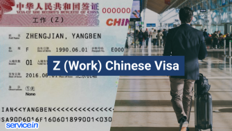 (Z) Work Chinese Visa (Adult)