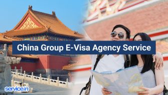 China Group E-Visa Agency Service