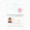 Travel Document Agency Service - Image 2