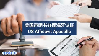 美国声明书办理海牙认证 Statement Apostille