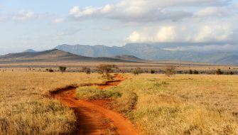 肯尼亚（KENYA）电子签证：美国快速签证服务