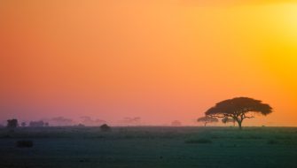 科特迪瓦（Cote d'Ivoire）旅游签证：美国专业代理