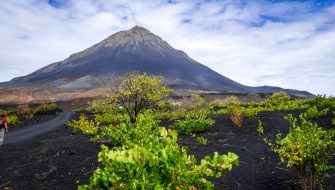 佛得角（Cape Verde）旅游签证：全美快速申请