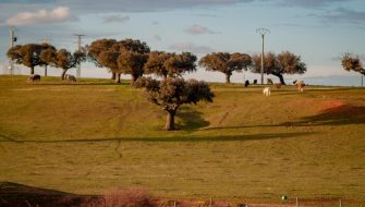 巴拉圭（PARAGUAY）旅游签证：美国代理签证服务