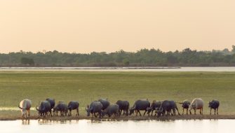 冈比亚（Gambia）旅游签证：美国精英必选