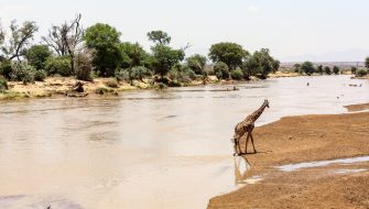 苏丹（SUDAN）旅游签证：全美稳定出签