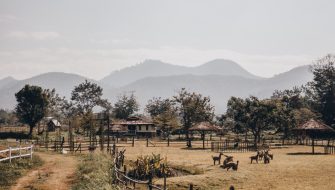 卢旺达（RWANDA）电子签证：美国特快办理签证