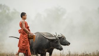 快速获取缅甸（Myanmar）电子签证：美国50州受理