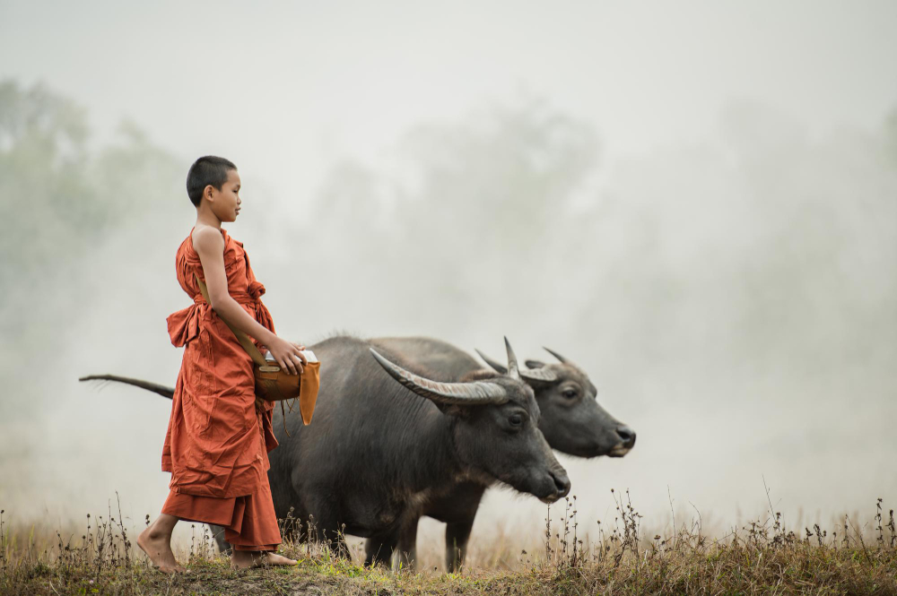 Myanmar e-Visa:US Fast Processing