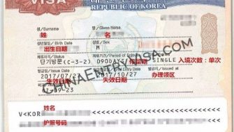 Los Angeles Agency Simplifies South Korean Visa Application Process