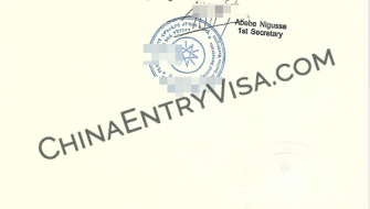 Professional Ethiopian Consulate Document Authentication Services in the USA